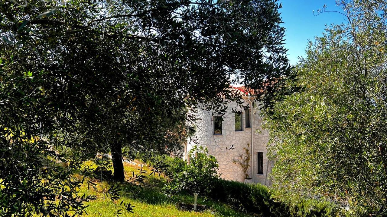 Villa Sania Kassiopi Exterior foto